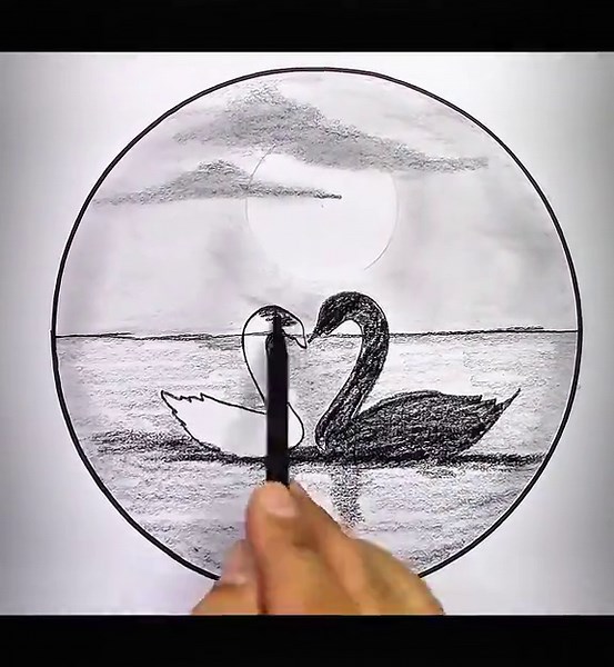 Circle drawing, easy Draw a two swan's 🦢, easy drawing step by step ✏️🎨 #Arttips #USA #drawingtutorial #creativity #artcommunity