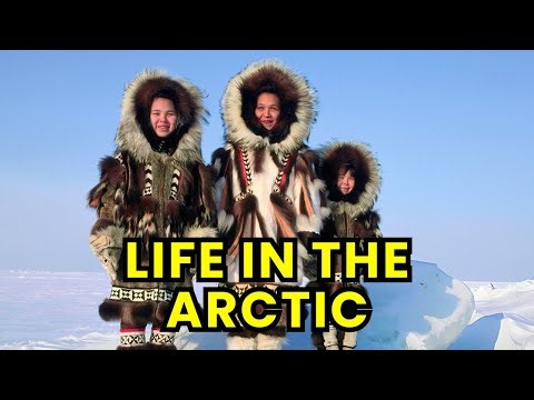 Inside Inuit Life: Surviving the Arctic Where Others Cannot