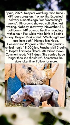 Spain 2025, keepers watching