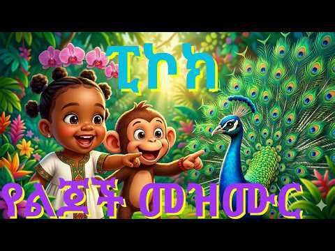 ፒኮክ/አዲስ!የልጆች መዝሙር/hemen and monkey/ethiopian kids song/peacock