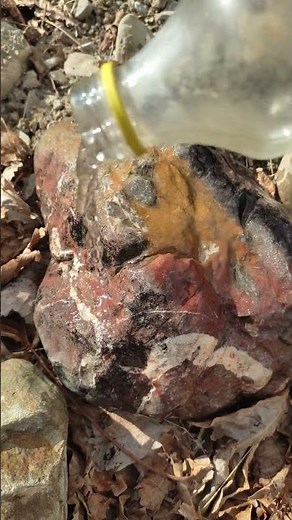 The discovery of the beautiful Jasper stone, what beautiful colors💪💐