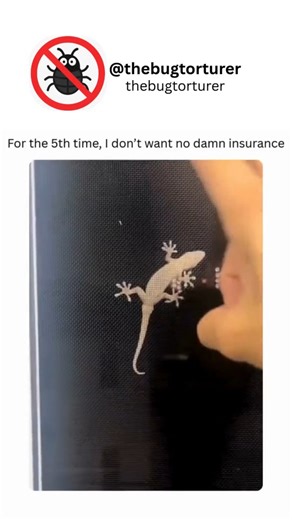 TheBugTorturer on Instagram: "Insects are often subjected to forms of harm or "torture" from both natural predators and human activities. For example, many species fall prey to parasitic wasps, which lay eggs inside their bodies. The larvae then consume the host from the inside out, a process that is undeniably cruel from a human perspective. This natural but harsh interaction shows that even in the insect world, survival often involves extreme strategies that can feel torturous to the victim."