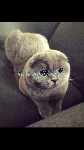 Finding Online Friends: Tips and Tricks