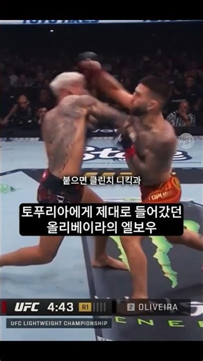 올리베이라가 할로웨이 무조건 이기는 이유... 스타일이 정말 까다롭습니다