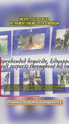 Sudden Farewell To K‑9 Bronson After 450 Deployments #k9 #honor #farewell #dog #doglover | K8 Hardy