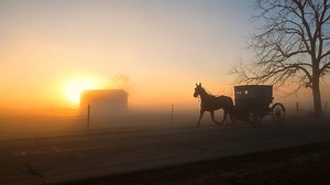 Former Amish Community Member Confirms the Amish Do In Fact Practice Witchcraft