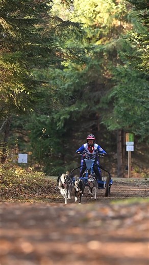 592K views · 18K reactions | Find your purpose. Run with it. | Untamed | Facebook