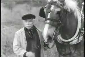 Wagon Train Sea 08 Epis 18 Herman