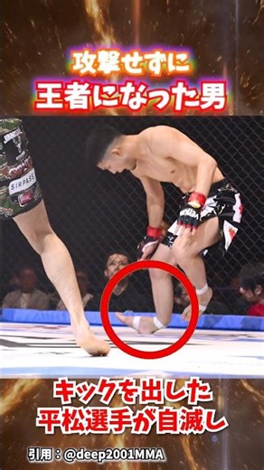 1発も攻撃せずに王者に輝いた男 #格闘技 #rizin #ufc