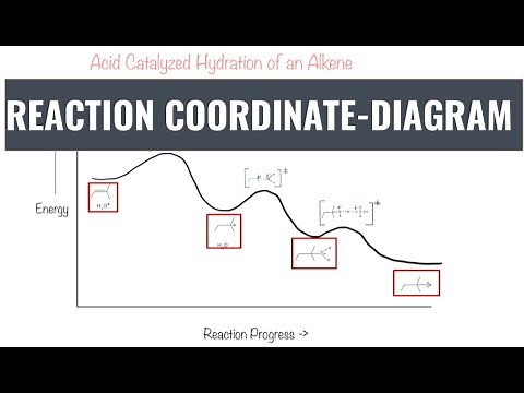 Reaction Coordinate Diagram - Transition States