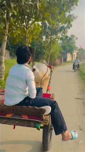 #jhota race#viral #shorts #viralshorts