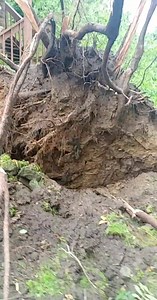 6.7K views · 86 reactions | So did a microburst just happen? | Ambridge Connection | Facebook