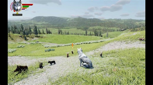 野狼迷踪（wolf quest）当狼王在草原上带崽，从狼崽的视野来看是多么的和谐欢乐