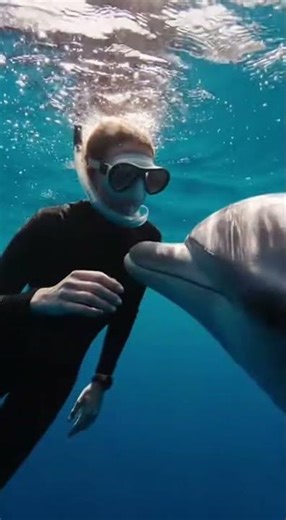 The Unbreakable Bond: Humans and Dolphins Sharing the Ocean.