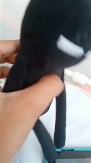 Bro saw a turtle #minecraft