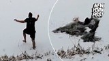 Frozen pond fail! Overly confident dad crashes through ice