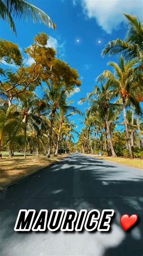 This road in Mauritius seems to lead to paradise 🇲🇺😮”