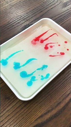 【食べる宝石】簡単に作れる！キラキラ綺麗な琥珀糖｜クラシル #Shorts