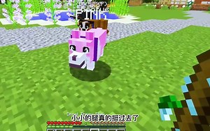 【Aphmau】扮演《我的世界》中的秘密狼女_游戏热门视频