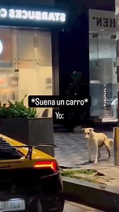 Si soy 🫣🤣 | El Panda