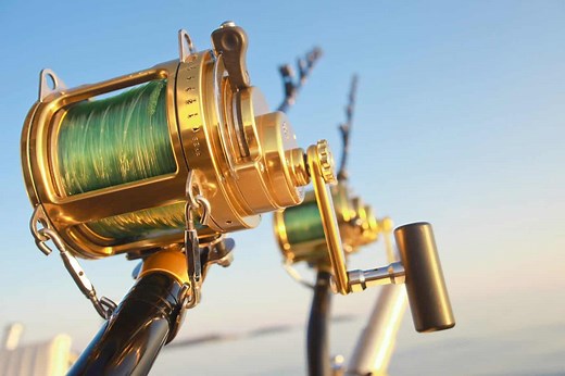 Best Saltwater Reels: Top Spinning and Baitcasting Options 2026