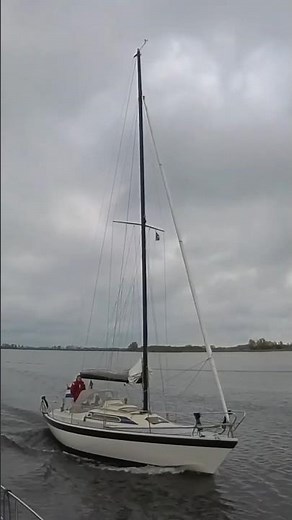 Dehler 28 🌊🧭 #abenteuer #yachtlife #sail #sailing #adventure #friesland #travel #story #viralvideo