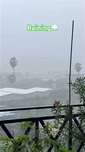 Raining Like Cats and Dogs 🌧️⛈️ | Heavy Rain Today | #rain #rainsounds #shorts