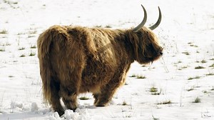 Wind, snow and ice warnings as cold weather hits UK again