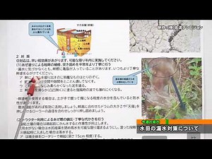佐渡テレビ営農情報 231010 ～水田の漏水対策について～