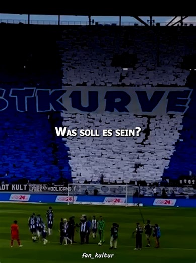 Hertha BSC! 🔵⚪💪 📷 stadionbruder 📷 stadiontouristen 📷 joerg.photo ✂️ fan_kultur #hertha #herthabsc #herthaundderksc #berlin #fankultur