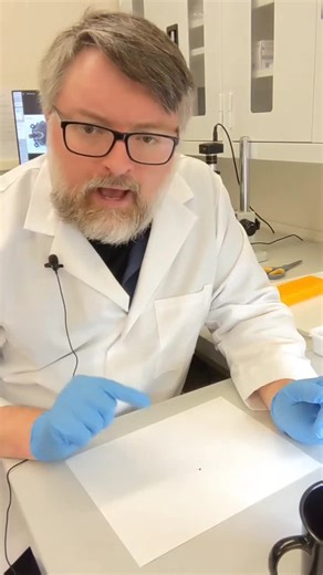 Did you know that you can send #tickreport a photo of a #tick and we will identify it? Our scientists spend hours staring at #ticks, so let them help you! #science #ticktesting #pathogens #fyp #tickbornedisease #research #tickidentification #microscope PS check out our #merch in our linktree.