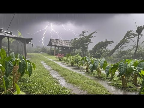 Heavy rain and storms in beautiful green Village||for sleeping and relaxing