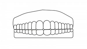 Download animated video of sketches forming teeth and gums for free