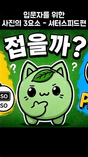 입문자를 위한 사진의 3요소 - 셔터스피드