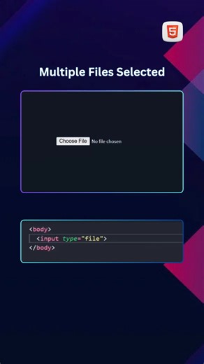 🖥️ programming language on Instagram: "Multiple Files Selected in HTML :: . HashTags : #html #html5 #input #htmlcss #htmlcoding #file"