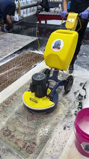 Colorful Rug Wash Patchogue Long Island