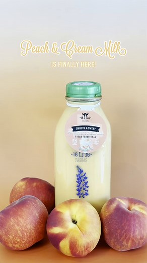 Peach & Cream Milk has officially returned for a limited time only! 🍑🥛⁠ ⁠ Made with real Texas dairy and that sweet peach flavor you’ve been craving all year. | 1836 Farms