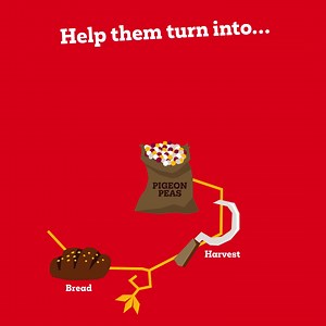 In southern Malawi, Cyclone Freddy has washed away farmers’ fields and their hopes of a bountiful harvest. This Christian Aid week, help provide new pigeon pea seeds so families can survive a looming food crisis. | Christian Aid