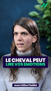 12K views · 90 reactions |  Le cheval peut lire vos émotions... ...