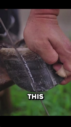 How Donkey Hooves Changed History