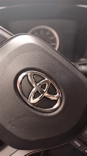 johnny.the.stallion on TikTok