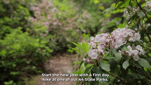 🎆 Ring in the New Year with a refreshing outdoor adventure at one of Virginia’s 44 State Parks during our annual First Day Hikes event on Jan. 1. First Day Hikes offer the perfect way to begin the year with inspiration. 🎇 This nationwide initiative invites people of all ages to explore the outdoors and embrace healthy habits from day one. Virginia State Parks will host a variety of guided hikes and self-led opportunities so there’s a trail waiting for everyone. 🥾 Start your Trail Quest advent