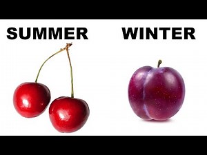 Memes Dudes Will Understand