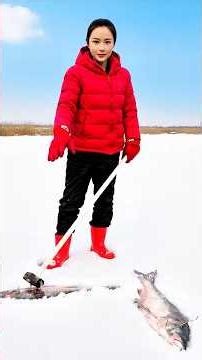 tradisi CINA panen ikan di danau beku