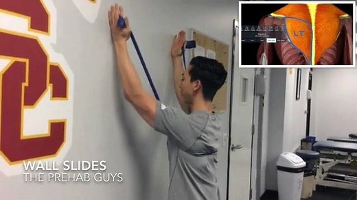 15K views · 500 reactions | “Wall Slides for PROPER Serratus and Low...