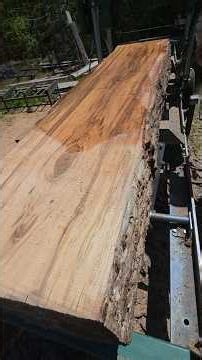 Maple tree slabs for table tops #diy #woodworking #workingfromhome