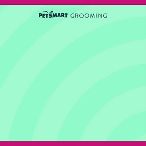 50 reactions · 15 comments | We’re celebrating Havanese on 11/7! Visit our Grooming Salon & save 10% on a bath or groom for your Havanese. It’s fast & easy to book online! | PetSmart | Facebook