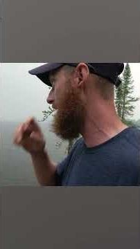 Blame Canada for the Smoke Forest Fires - in the heart of a massive wild fire