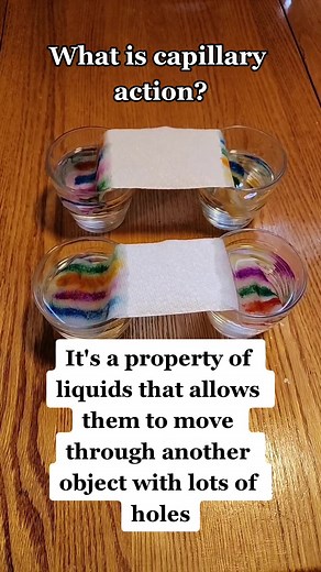 Exploring Capillary Action in Science: A Fascinating Phenomenon