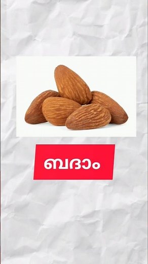 ബദാം ഏറ്റവും കൂടുതൽ ഉത്പാദിപ്പിക്കുന്നത് | Almond farming in the world.